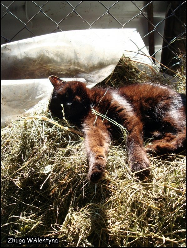 Фотовиставка Валентини Жуги